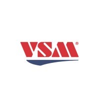 VSM Informática logo - Similar company to Tek Software