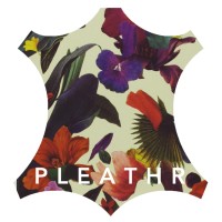 Pleathr Mag