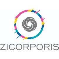 ZICORPORIS logo - Similar company to Zicorp Solutions