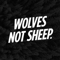Wolves Not Sheep logo - Similar company to Shining Icon