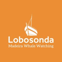 Lobosonda - Madeira whale watching logo - Similar company to Misión Raya