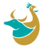Arazdamkabir logo - Similar company to Pars Netsis Samaneh (Pns)