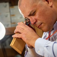 Wood Identification Team at MSU logo - Similar company to Forest Products Society