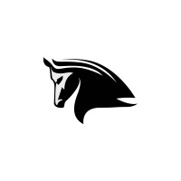 Stampede Network logo - Similar company to Angles, Inc.