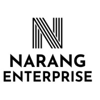 Narang Enterprise logo - Similar company to Visa Theory