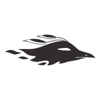 Phoenix logo - Similar company to Packman & Associates