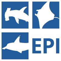 Elasmobranch Project Indonesia logo - Similar company to Misool Foundation