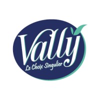 Vally logo - Similar company to Vally
