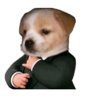 Curiflow logo - Similar company to Eppix