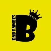 Badtamees.com logo - Similar company to Youthobia