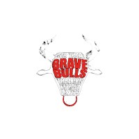 Brave Bulls Sports logo - Similar company to Glow Experience
