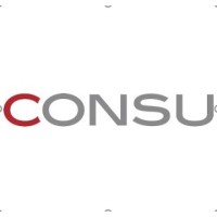 Consu International FZE & Consu LLC logo - Similar company to London School Of Business & Education