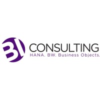BI-Consulting