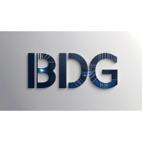 Business Development Group logo - Similar company to Pv Store
