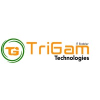 TriGam Technologies logo - Similar company to Digitalippo