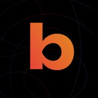 bleksi logo - Similar company to Fourel Aviation Solutions