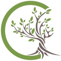 Fizyoestet logo - Similar company to Lunar Media Group