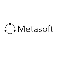 Metasoft logo - Similar company to Metasoft