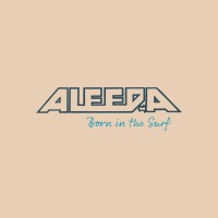 Aleeda logo - Similar company to G.I. It Security
