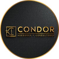 Condor Asesores y Consultores logo - Similar company to Sinergia Digital Lab