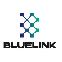 Bluelink solutions logo - Similar company to Bluelink Solutions
