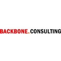Backbone Consulting logo - Similar company to Backbone Consulting Ab