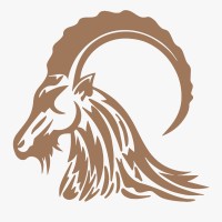 FortuNorth logo - Similar company to Dotprintpvt