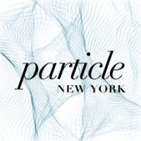 Particle | New York logo - Similar company to Jumpbutton Studio