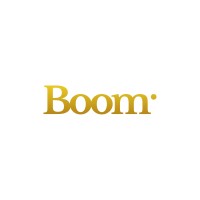 Boom logo - Similar company to Datazage