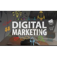 Digital Marketing Expert 01 logo - Similar company to Klaviyo Email Marketing Expert