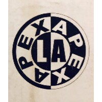APEX INTERNATIONAL TRANSPORTATION LLC logo - Similar company to Bespoke Integration