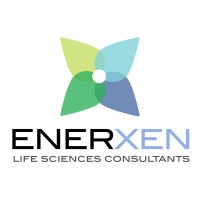 Enerxen Consulting Inc. logo - Similar company to Ptl Solutions Inc.