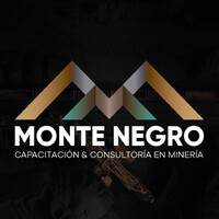 Monte Negro Training & Consulting logo - Similar company to (Odeser) Soluciones Para Mineria