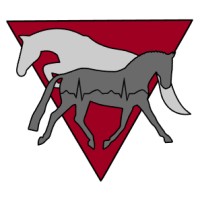 Triangle Equine Mobile Veterinary Services logo - Similar company to Myoutdoorjoy