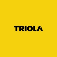 TRIOLA logo - Similar company to Payholding International
