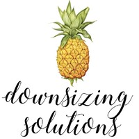 Downsizing Solutions logo - Similar company to Alivio Downsizing