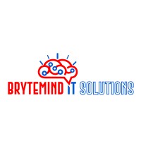 BryteMind IT Solutions logo - Similar company to Unified Networking Development Systems Limited