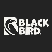 BlackBird Confectionery logo - Similar company to Truckersmp