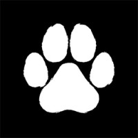 Will You Be Better? logo - Similar company to Confidios