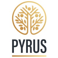 Pyrus Consulting logo - Similar company to Pyrus Innovations