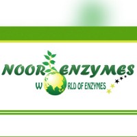 Noor Enzymes logo - Similar company to Greenlink Analytical And Research Laboratory (India) Private Limited