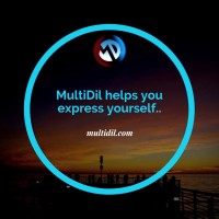 MultiDil YDM logo - Similar company to League Of Codeix