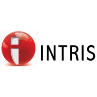 Intris Consulting logo - Similar company to Intris