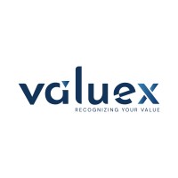 Valuex logo - Similar company to Valcon Capital