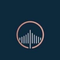 Goldbridge Partnership logo - Similar company to Finsense Academy Ltd