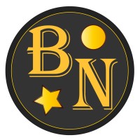 Bear Network Chain logo - Similar company to Node Ai