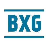 BXG.ru logo - Similar company to Dieselor
