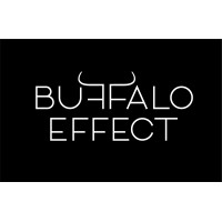 Buffalo Effect logo - Similar company to Training Umbrella