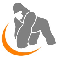 Gorilla Imaging - industrielle Bildverarbeitung Florian Kühl logo - Similar company to Aventys Electronics
