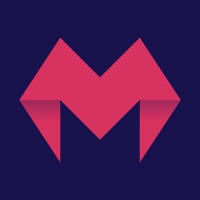 MetaFlash logo - Similar company to MrFischer Web-Development